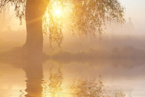 Peace Be Unto You